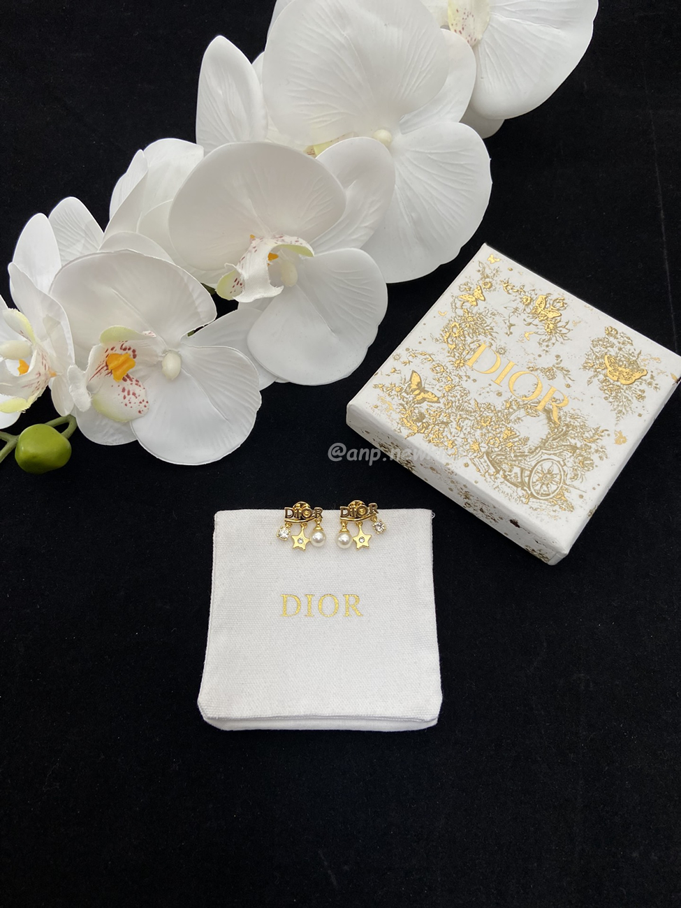 Dior Earrings (10) - www.newkick.vip